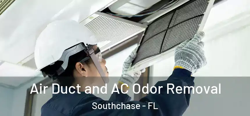 Air Duct and AC Odor Removal Southchase - FL