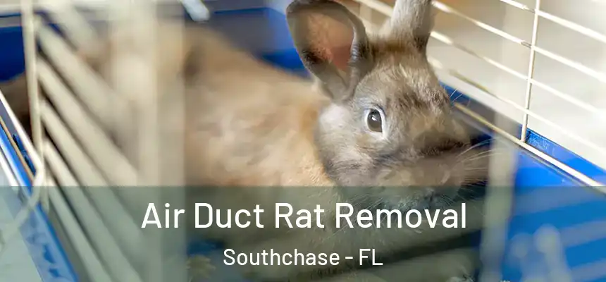 Air Duct Rat Removal Southchase - FL
