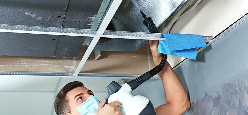 Our Air Duct Rodent Removal Services in Southchase, FL