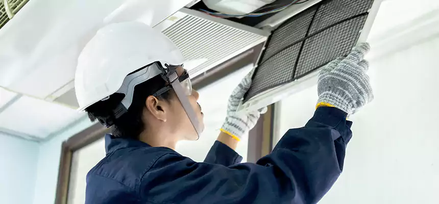 Our Mold & Mildew Removal from Air Ducts Services in Southchase, FL