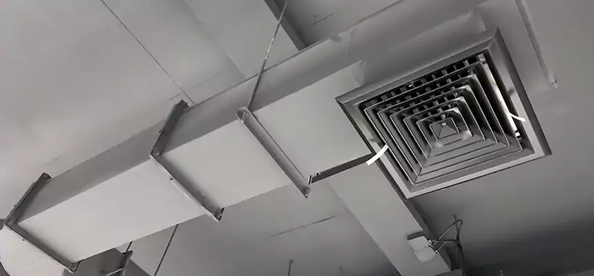 Our Pest Removal From Ducts Services in Southchase, FL