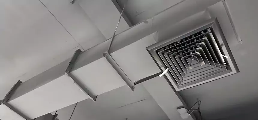 Our Rodent Droppings In Vents Services in Southchase, FL