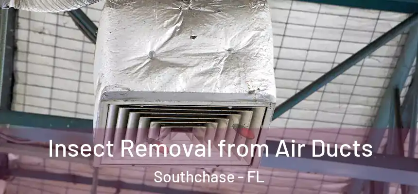Insect Removal from Air Ducts Southchase - FL