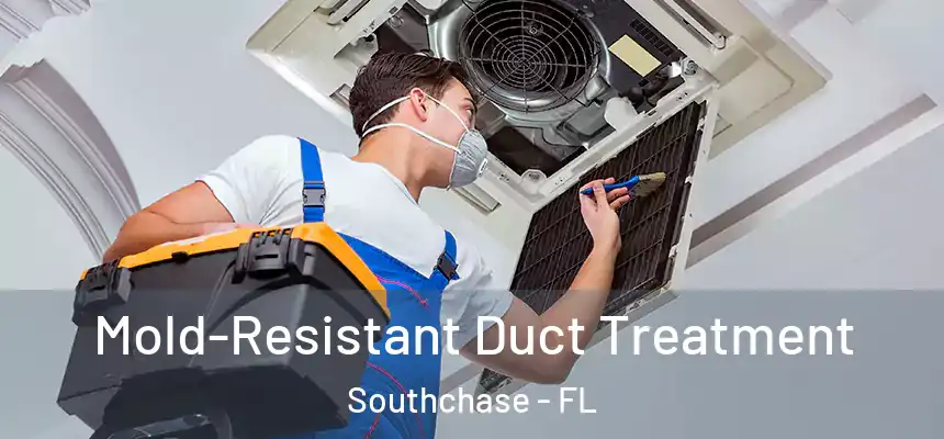 Mold-Resistant Duct Treatment Southchase - FL