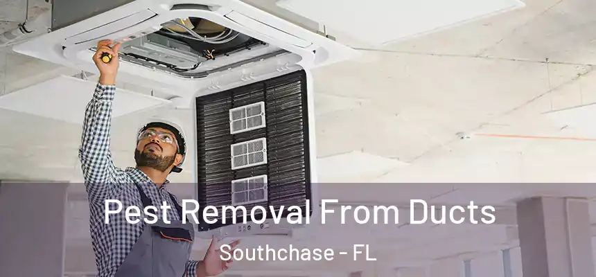 Pest Removal From Ducts Southchase - FL