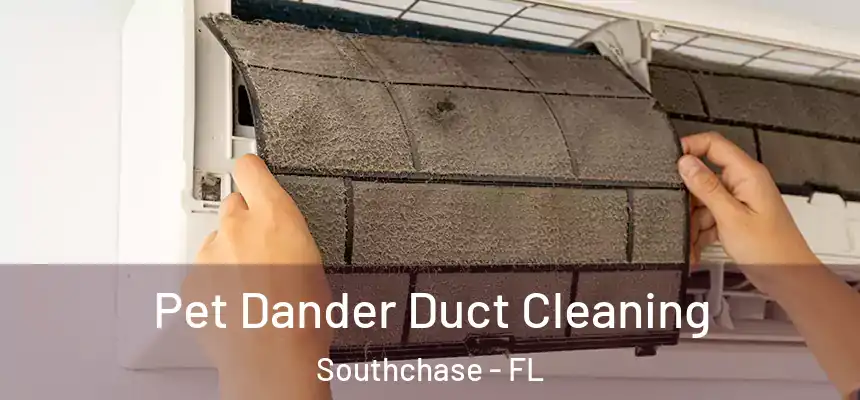 Pet Dander Duct Cleaning Southchase - FL