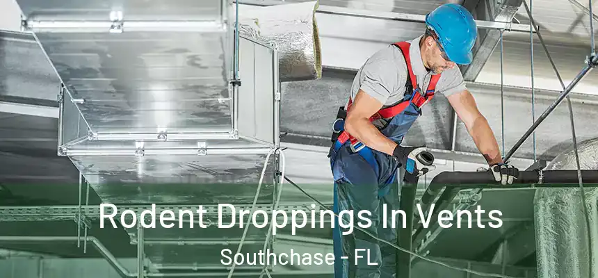 Rodent Droppings In Vents Southchase - FL