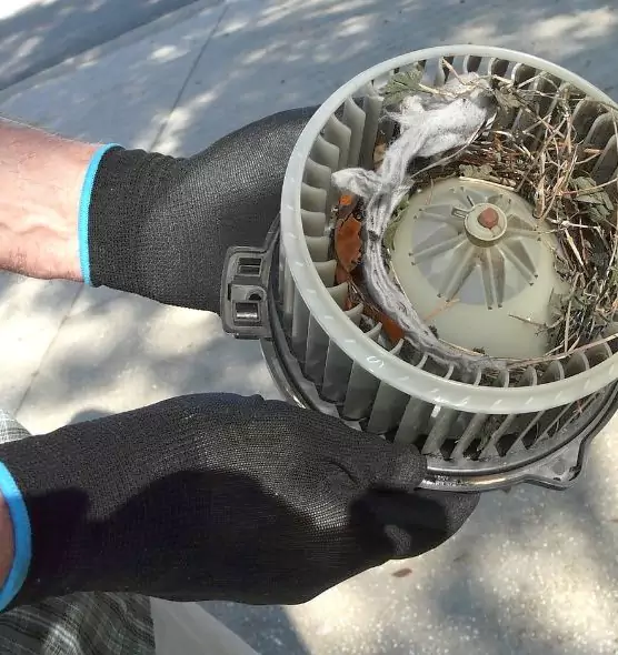 About Air Duct Mice Removal in Southchase, FL