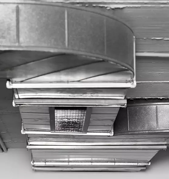 Professional Air Duct Pet Hair Removal in Southchase, FL