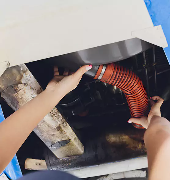 About Air Duct Virus Disinfection in Southchase, FL