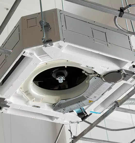 Professional Roof Vent Lint Removal Southchase, FL