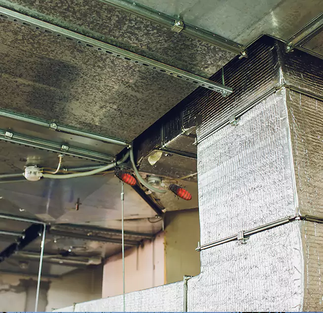 Why Homeowners & Businesses Trust Us in Southchase, FL?