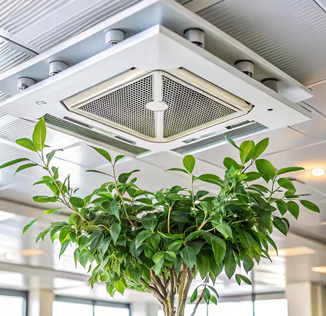 Why Homeowners & Businesses Trust Us in Southchase, FL