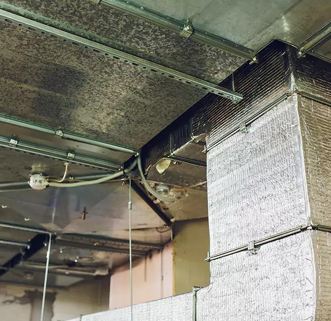 Why Homeowners & Businesses Trust Us in Southchase, FL?